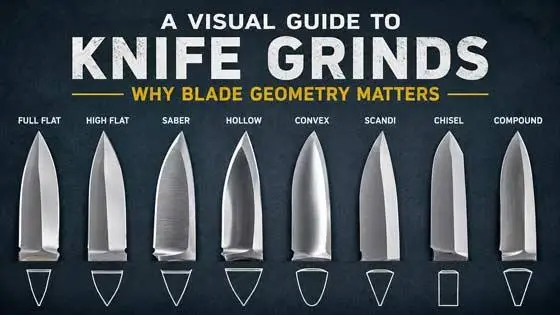 A Visual Guide to Knife Grinds: Why Blade Geometry Matters