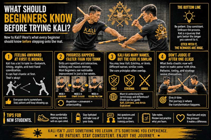 Kali beginners guide and training tips infographic