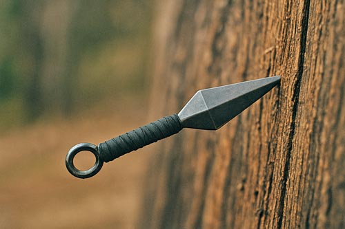 Kunai knife embedded in wooden target with handle facing outward.